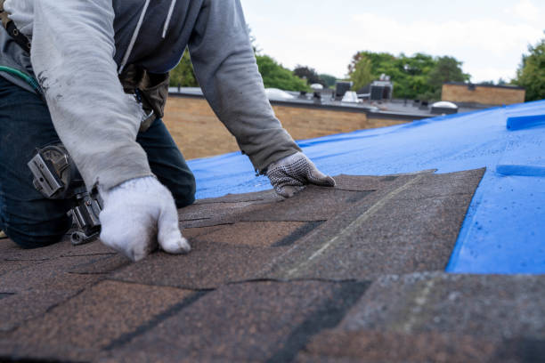 Roof Waterproofing Services in Lexington, NC