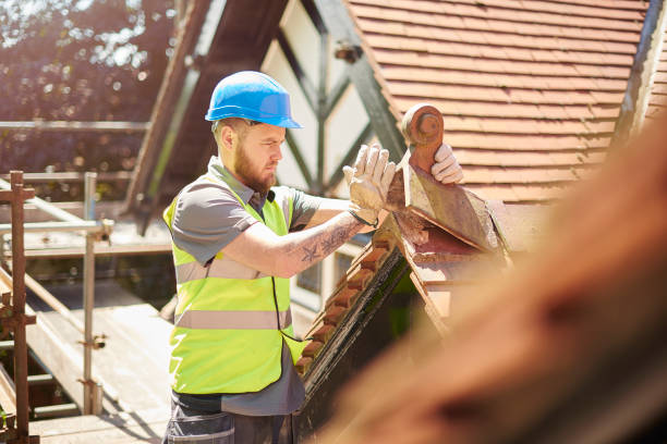 Roof Gutter Cleaning in Lexington, NC